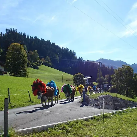 Farm stay Scherntreinerhof