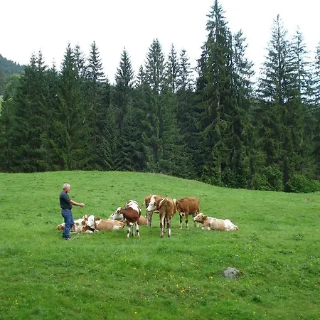 Farm stay Scherntreinerhof *
