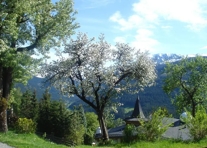 Scherntreinerhof Agroturismo