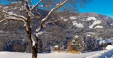 팜스테이 Scherntreinerhof *