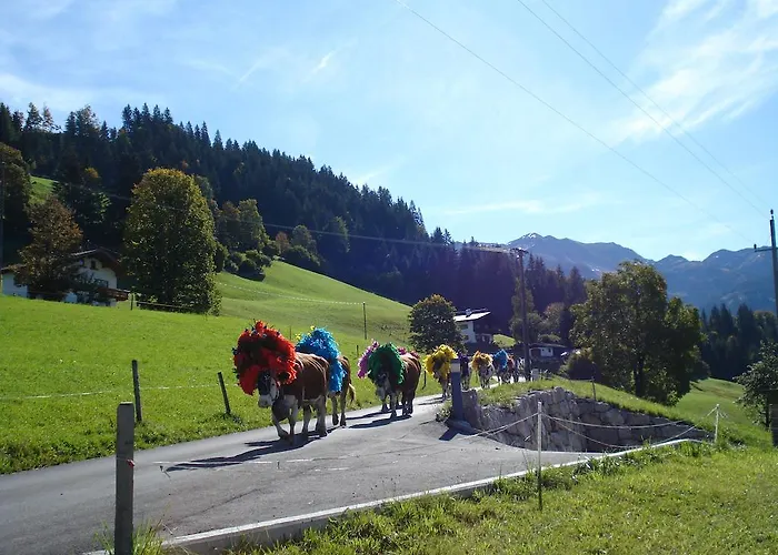 팜스테이 Scherntreinerhof