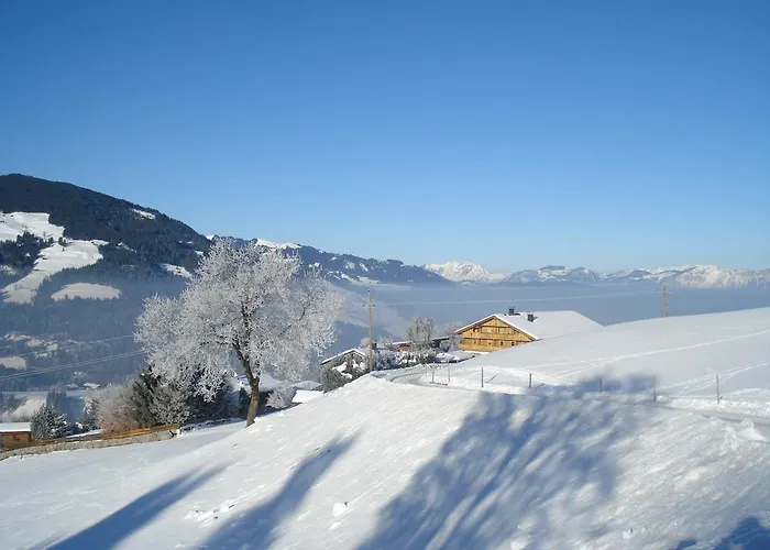Scherntreinerhof Alloggio per agriturismo Westendorf