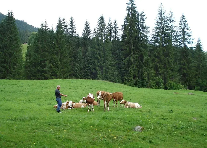 Alloggio per agriturismo Scherntreinerhof *